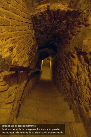 Bajamos a la bbodega subterranea